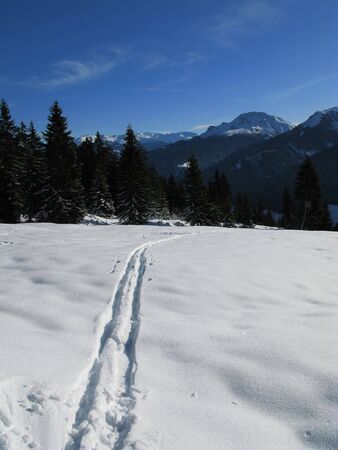 Winter in austria 2010の写真素材
