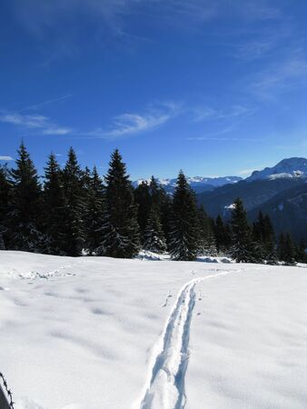 Winter in austria 2010の写真素材