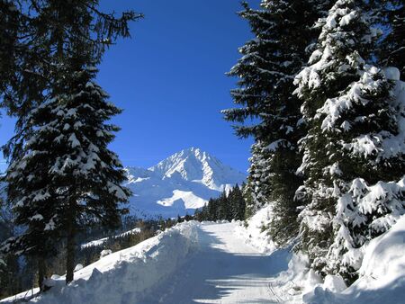 Winter in austria 2010の写真素材