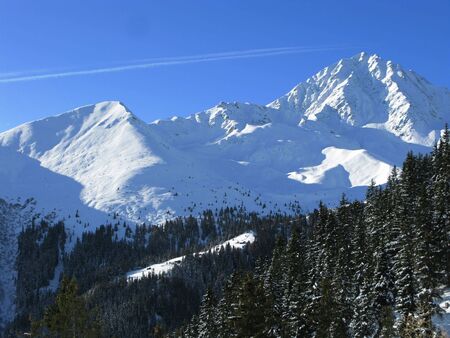Winter in austria 2010の写真素材