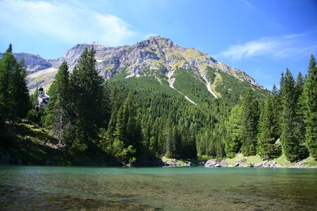 lake in summerの写真素材