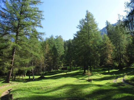 mountainviewの写真素材