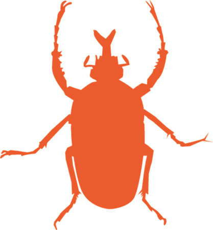 Silhouette of Bugのイラスト素材