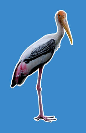 The stork's folkloric role as a bringer of babies and harbinger of luck and prosperity, where it is common in children's nursery stories. の写真素材