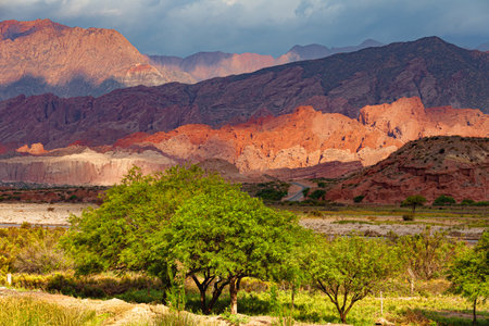Colorful mountain landscape with chiaroscuro and a green tree in the foreground.