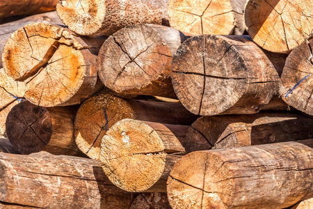 Wooden logs stored in a sawmill for use as posts.の写真素材