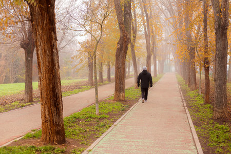Person on his back walking alone in a foggy park. Very cold autumn day that invites you to go out for a walk very warmly.の写真素材
