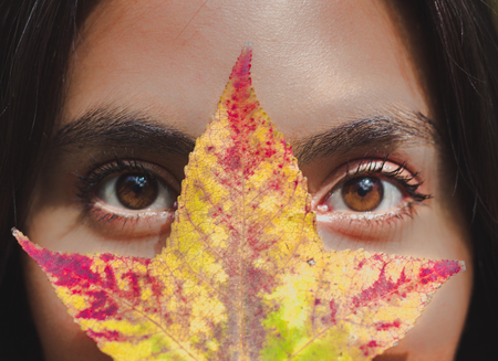 Ojos latinos, a traves de una hoja del bosque en la Ciudad de Mexico.