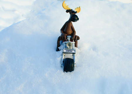 toy moose on a bike in winterの写真素材
