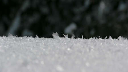Ice Crystalsの写真素材