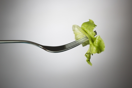 One lettuce leaf on a horizontal forkの写真素材