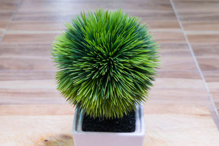 pot with plastic bushes on the woodenの写真素材