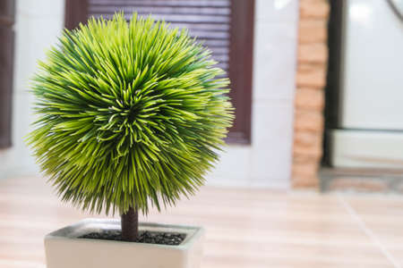 pot with plastic bushes on the woodenの写真素材