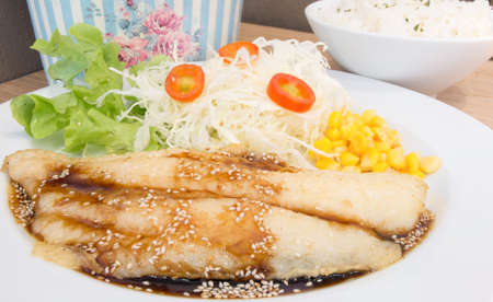 Dolly fish steak and riceの写真素材