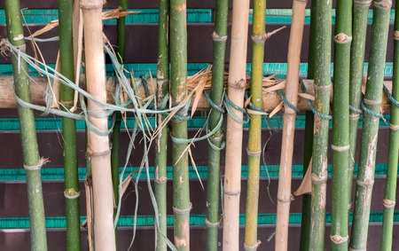 bamboo sticks in a row as backgroundの写真素材