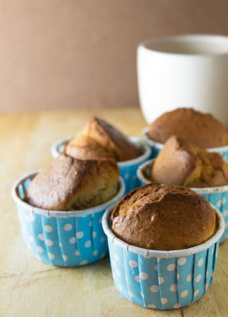 chocolate cupcakesの写真素材