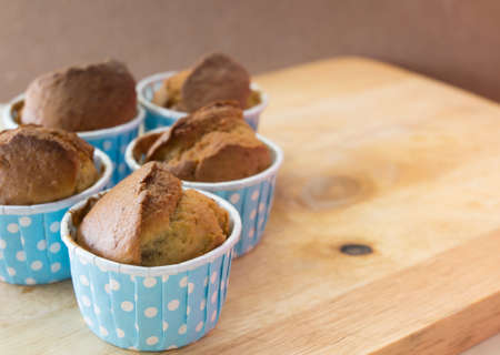 chocolate cupcakes