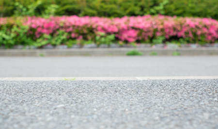 The road beside with pink flower, selective focus on center of roadの写真素材