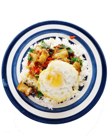 crispy pork fried with basil and egg on the rice, white backgroundの写真素材