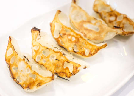 closeup gyoza on white dish background