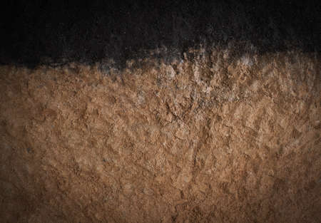 Dry Planting trees background