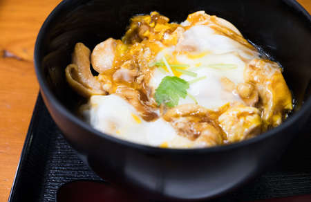 chicken rice with onsen egg and shoyu sauceの写真素材