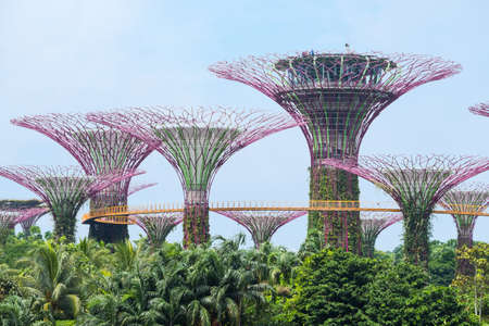 SINGAPORE - JULY 2018: Garden by the bay that the popular park in singaporeのeditorial素材
