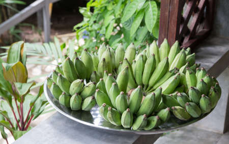 group of fresh green bananaの写真素材