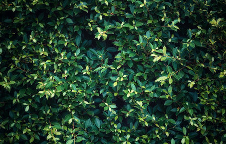 vintage group of green leaf tree background