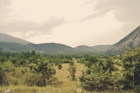 golden fieldの写真素材