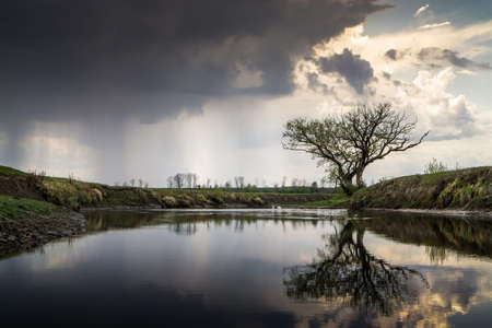 Lonely tree over the river and dark rain clouds with sunlight.