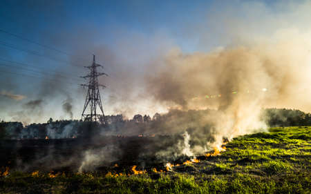The grass burns in a meadow. Ecological catastrophy. Fire and smoke destroy all life.の写真素材