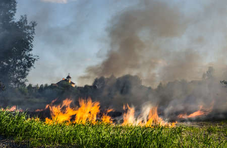 The grass burns in a meadow. Ecological catastrophy. Fire and smoke destroy all life.の写真素材