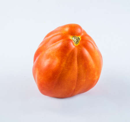 Red tomatoes on isolated on a white background.の写真素材