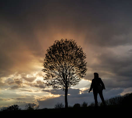 Silhouette of a man near a tree on a background of the evening after a rainy sky. Multi-colored dark...