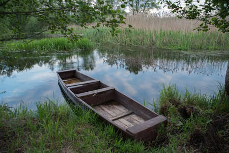 A fishing wooden boat by the river among green trees and bushes.の写真素材
