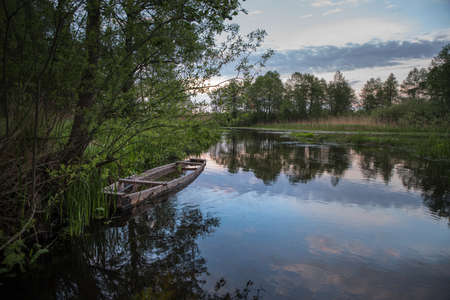 A fishing wooden boat by the river among green trees and bushes.の写真素材