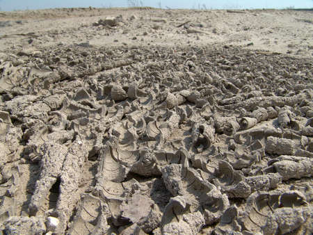 The texture of cracked clay.の写真素材