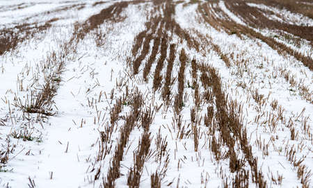 Field and hills covered with snow.の写真素材