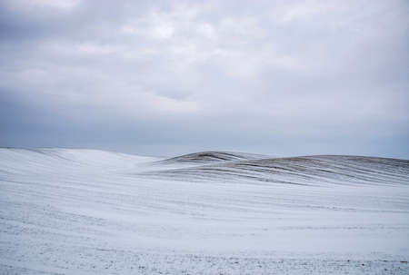 Field and hills covered with snow.の写真素材