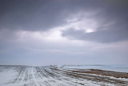 Field and hills covered with snow.の写真素材