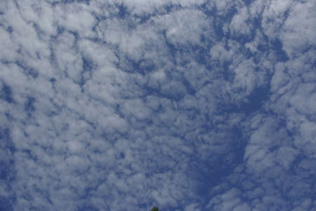 Light types of clouds in the early sky beautifully float to the left streams of summer wind slowly direct them to the West in the Wake of the outgoing sun only the sun's rays indicate the way to theseの写真素材
