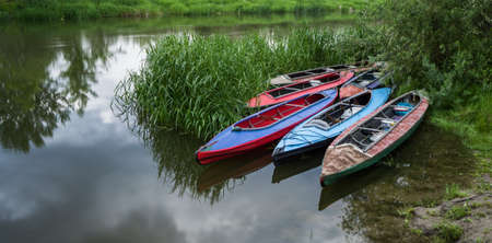 Multi-colored kayaks without people parked by the river.