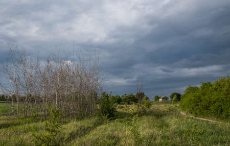 House among green bushes.の写真素材