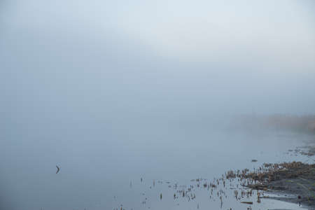 Morning's fog over the lakeの写真素材