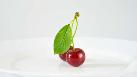 Two fresh juicy cherries connected by a shank with a green leaf.の写真素材
