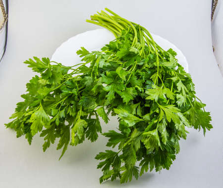 Fresh parsley leaves on a white background.の写真素材