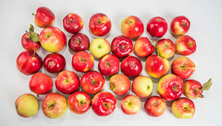 Apples on a white background. View from above.