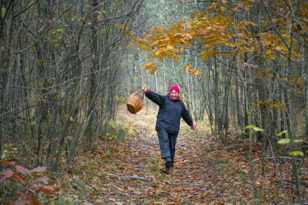 Lutsk. Ukraine. November 1, 2020; Woman in a red cap with a basket in the autumn forest.のeditorial素材