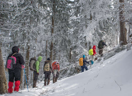 Carpathians. Ukraine. March 13, 2020; Tourists in the snowy mountains.のeditorial素材